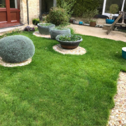 Techniques de taille pour maintenir un jardin esthétique et en bonne santé Pierrefitte-sur-Seine